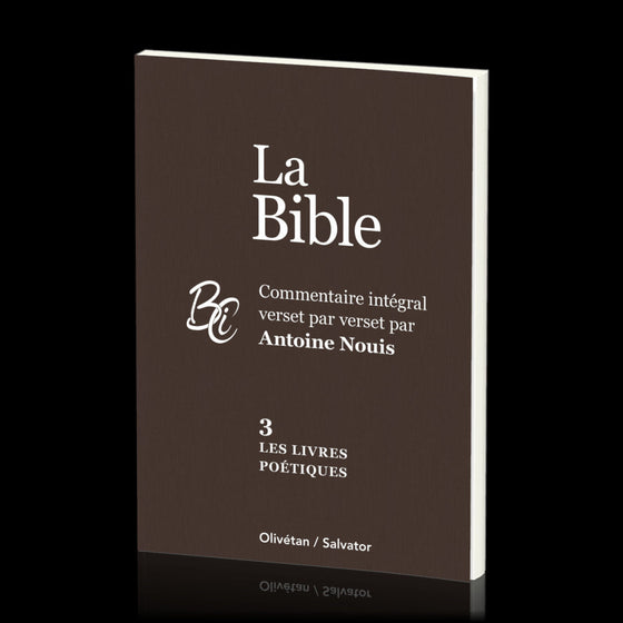 La Bible, 3. Les livres poétiques