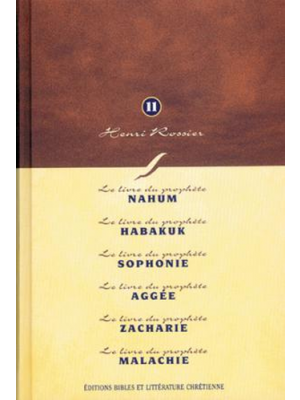 Méditations (Vol. 11) sur Nahum à Malachie