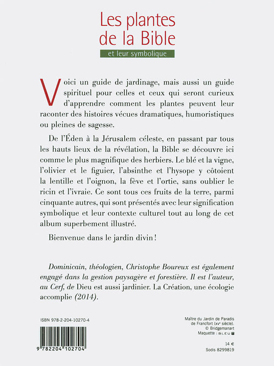 Les plantes de la Bible et leur symbolique