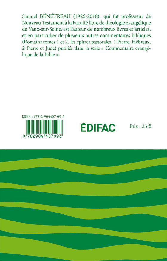 CEB NT 19. L'épître aux Hébreux. Tome 1. Commentaire biblique