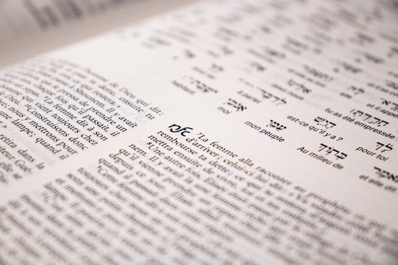 Ancien Testament Interlinéaire hébreu-français