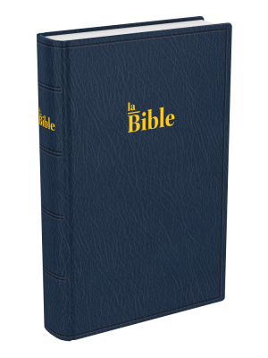 La Sainte Bible, Darby, format compact, souple bleu