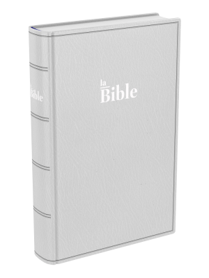 La Sainte Bible, Darby, format compact, souple gris