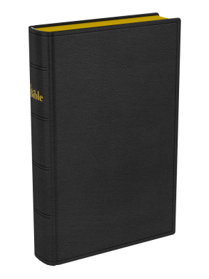 La Sainte Bible, Darby, format compact, cuir noir