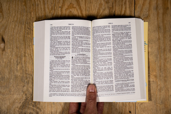 Bible Colombe bleue souple