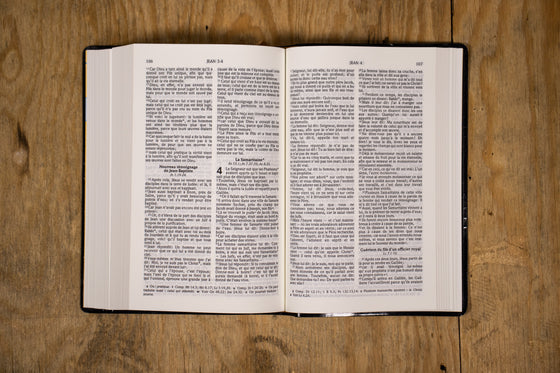 Bible Colombe Bronze souple
