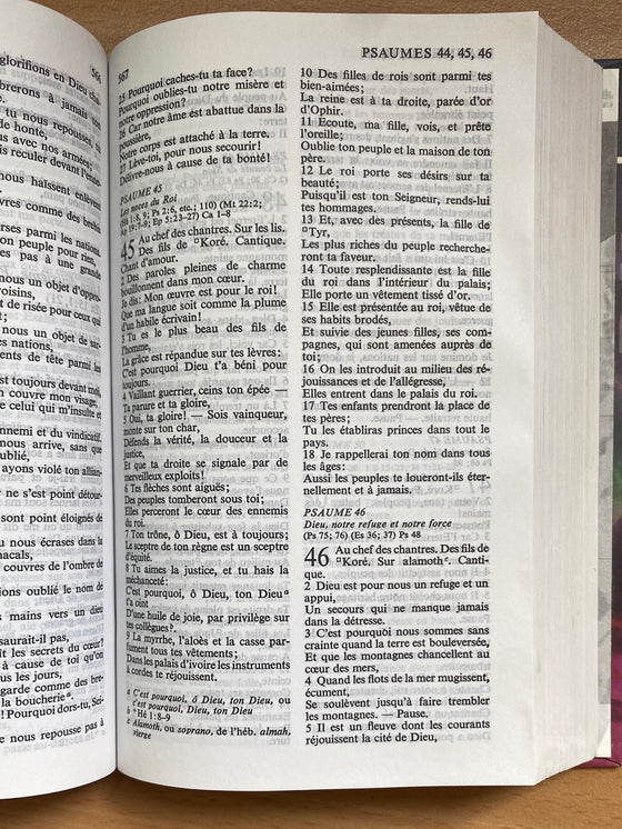 Bible Segond NEG de poche