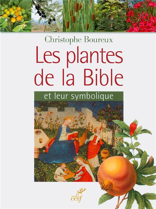 Les plantes de la Bible et leur symbolique