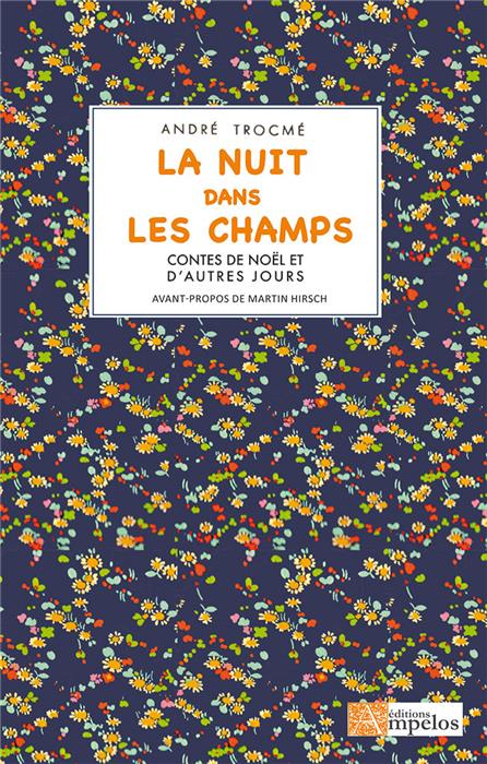 La nuit dans les champs