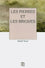 Les pierres et les briques