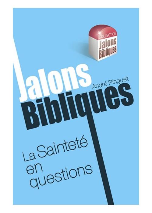 La sainteté en questions
