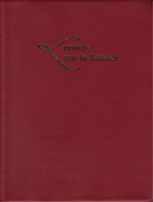 Lumière sur le sentier