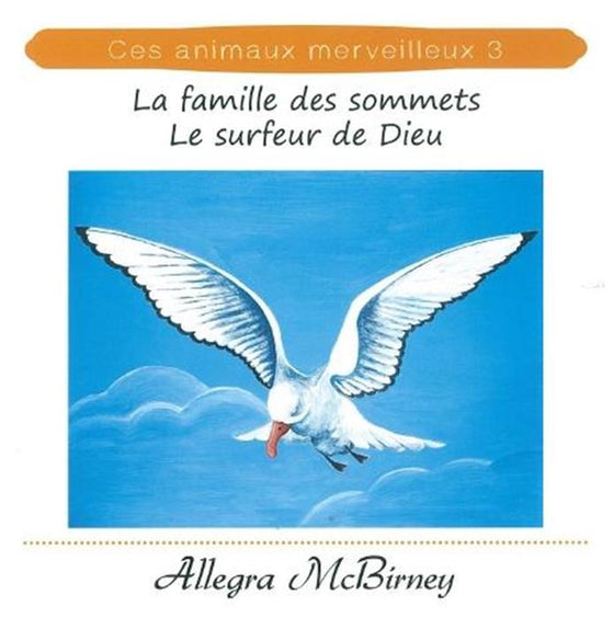 CAM 3 : La famille des sommets - Le surfeur de Dieu
