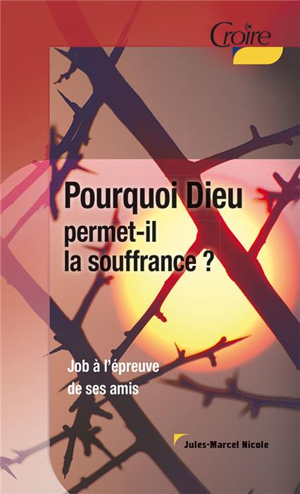 Pourquoi Dieu permet-il la souffrance ? [Nicole]