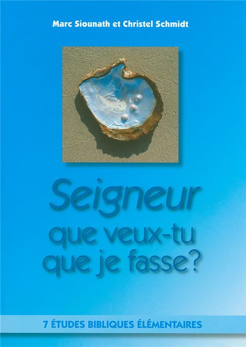 Seigneur, que veux-tu que je fasse ?