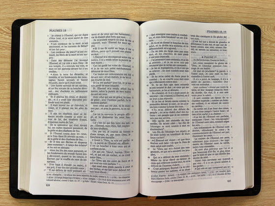 La Sainte Bible, Darby, grand format, cuir noir avec rebord et tranche dorée, titre sur la face
