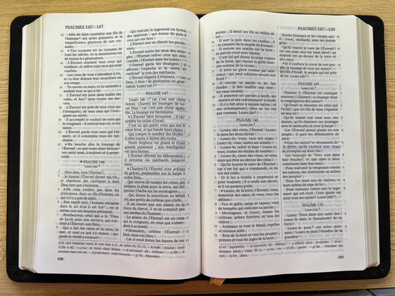 La Sainte Bible, Darby, grand format, cuir noir avec rebord et tranche dorée, titre sur la face