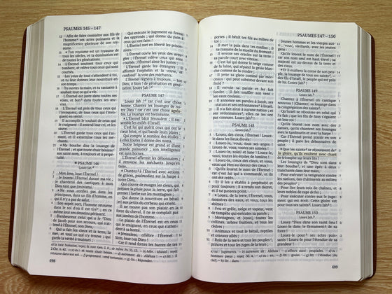 La Sainte Bible, Darby, grand format, simili cuir