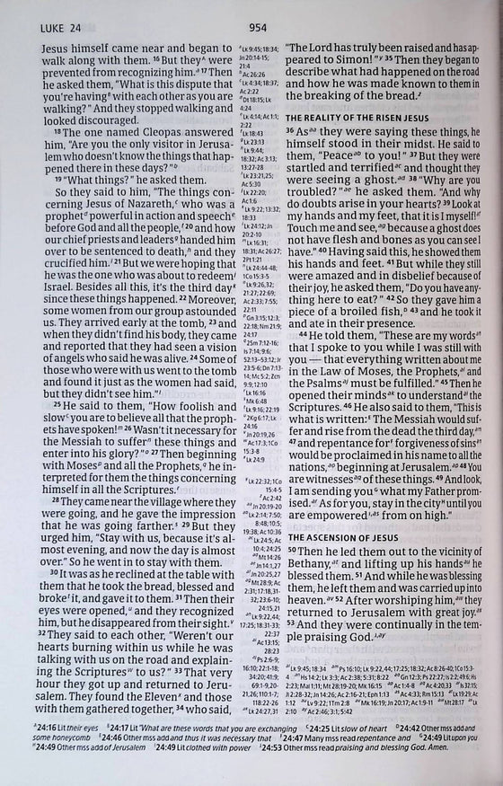 Holy Bible - CSB - cuir noir, relié, tranche argentée