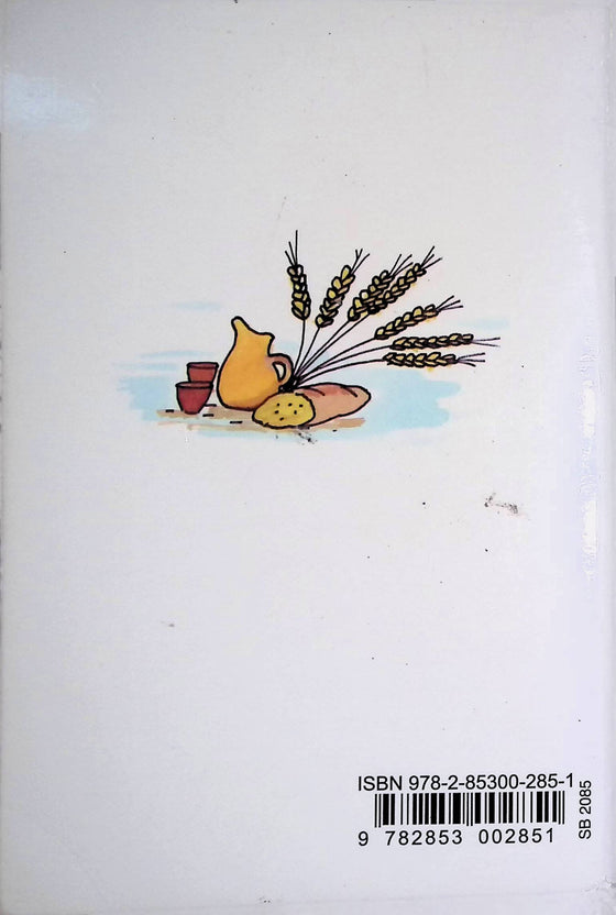 Le Nouveau Testament illustré en français courant