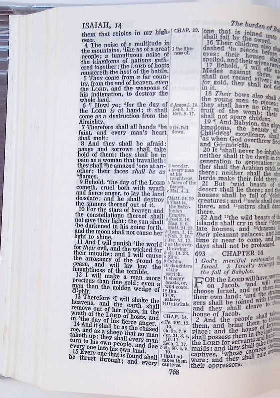 Holy Bible - Spirit of 88 - Commemorative Edition