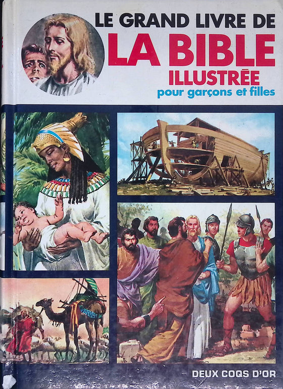 Le grand livre de la bible illustrée pour garçons et filles (catholique)