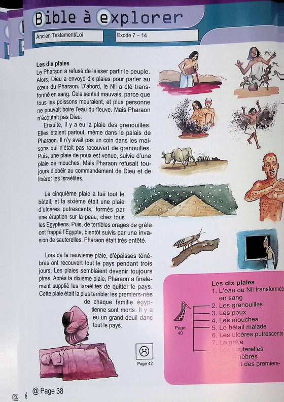 La Bible à explorer de la Genèse à l'Apocalypse