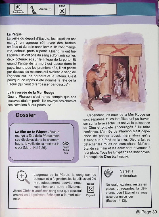 La Bible à explorer de la Genèse à l'Apocalypse