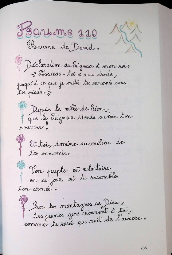 La Bible Manuscrite : Les psaumes et le nouveau testament