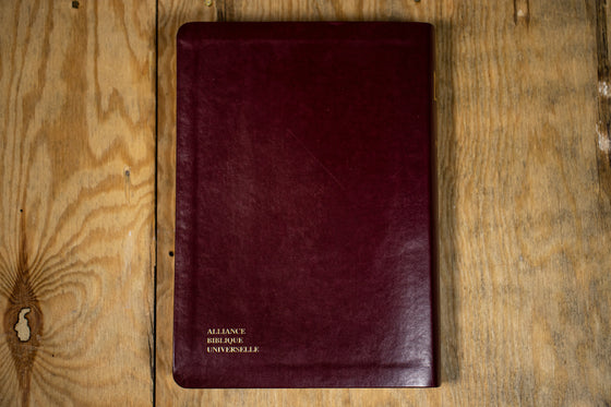 Bible d´étude NBS Bordeaux souple Tranche dorée avec étui