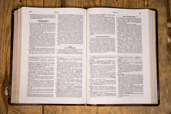 Bible d´étude NBS Bordeaux souple Tranche dorée avec étui
