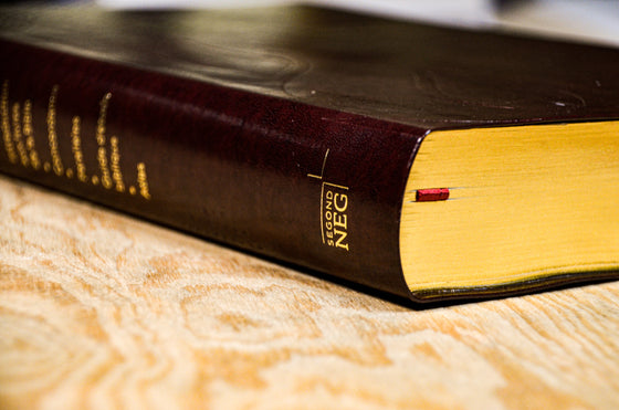 Bible d´étude NEG avec parallèles Bordeaux souple Tranche dorée avec onglets
