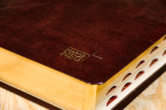 Bible d´étude NEG avec parallèles Bordeaux souple Tranche dorée avec onglets