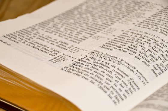 Bible d´étude NEG avec parallèles Bordeaux souple Tranche dorée avec onglets