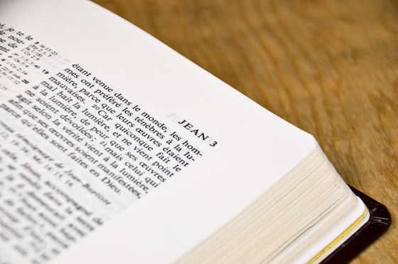 Bible d´étude NEG avec parallèles Bordeaux souple Tranche dorée avec onglets