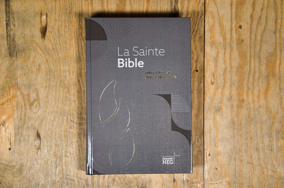 Bible d´étude NEG avec parallèles Grise noire rigide