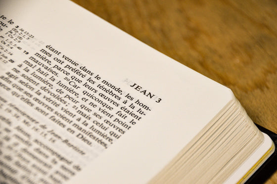 Bible d´étude NEG avec parallèles Noire souple Tranche dorée avec onglets