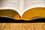 Bible d´étude NEG avec parallèles Noire souple Tranche dorée avec onglets