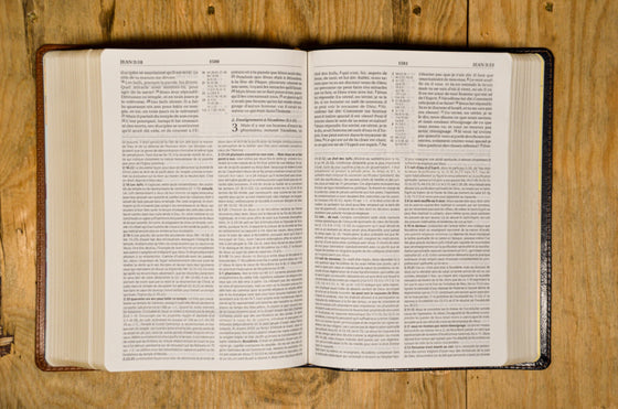 Bible d’étude NEG MacArthur Beige souple