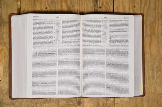 Bible d’étude NEG MacArthur Marron souple