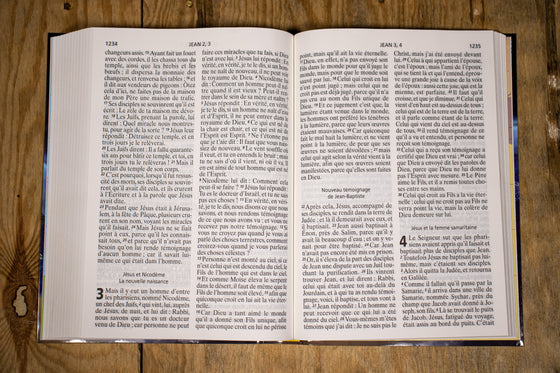 Bible Segond NEG, gros caractère