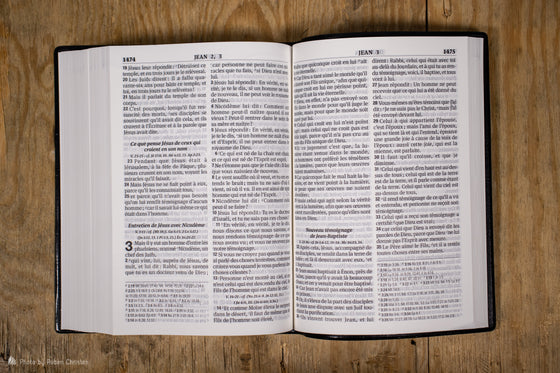 Bible Segond 1910 gros caractères bleue vinyle souple