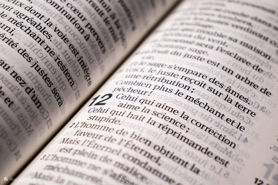 Bible Segond 1910 gros caractères noire