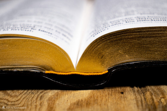 Bible Segond 1910 gros caractères noire