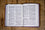 Bible Segond 1910 gros caractères parme