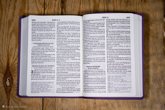 Bible Segond 1910 gros caractères parme