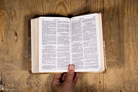Bible Segond 1910, compacte, dorée