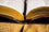 Bible Segond 1910, compacte, dorée