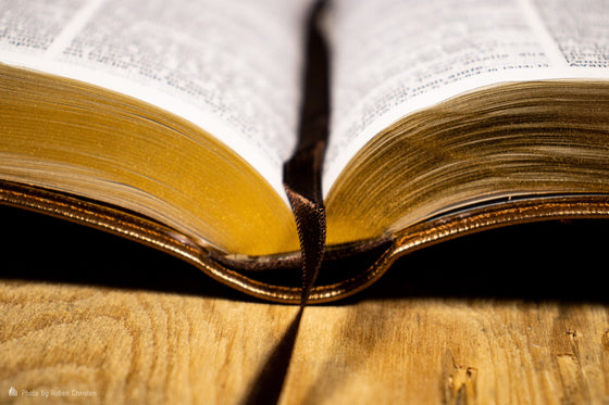 Bible Segond 1910, compacte, dorée