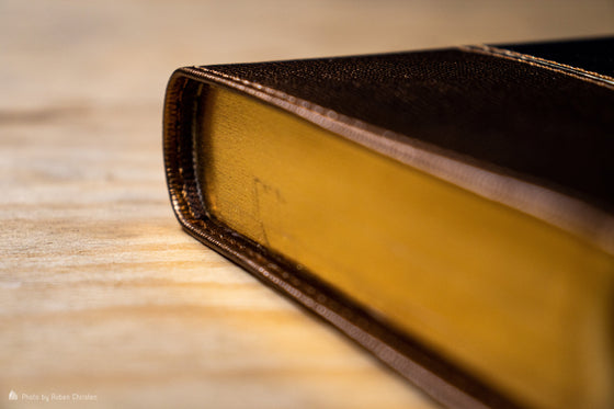 Bible Segond 1910, compacte, dorée